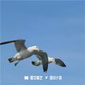超嗨信仰旋律