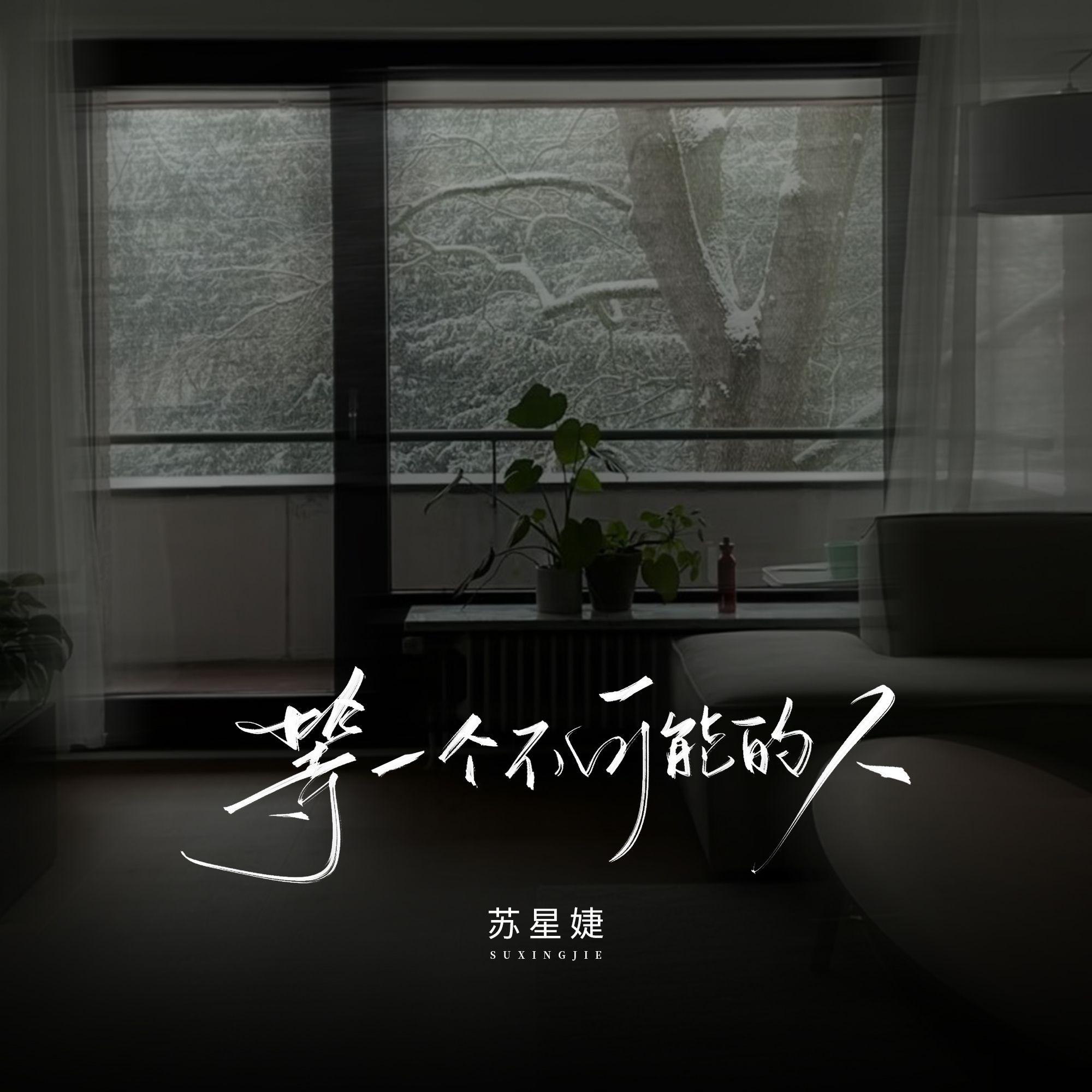 等一个不可能的人