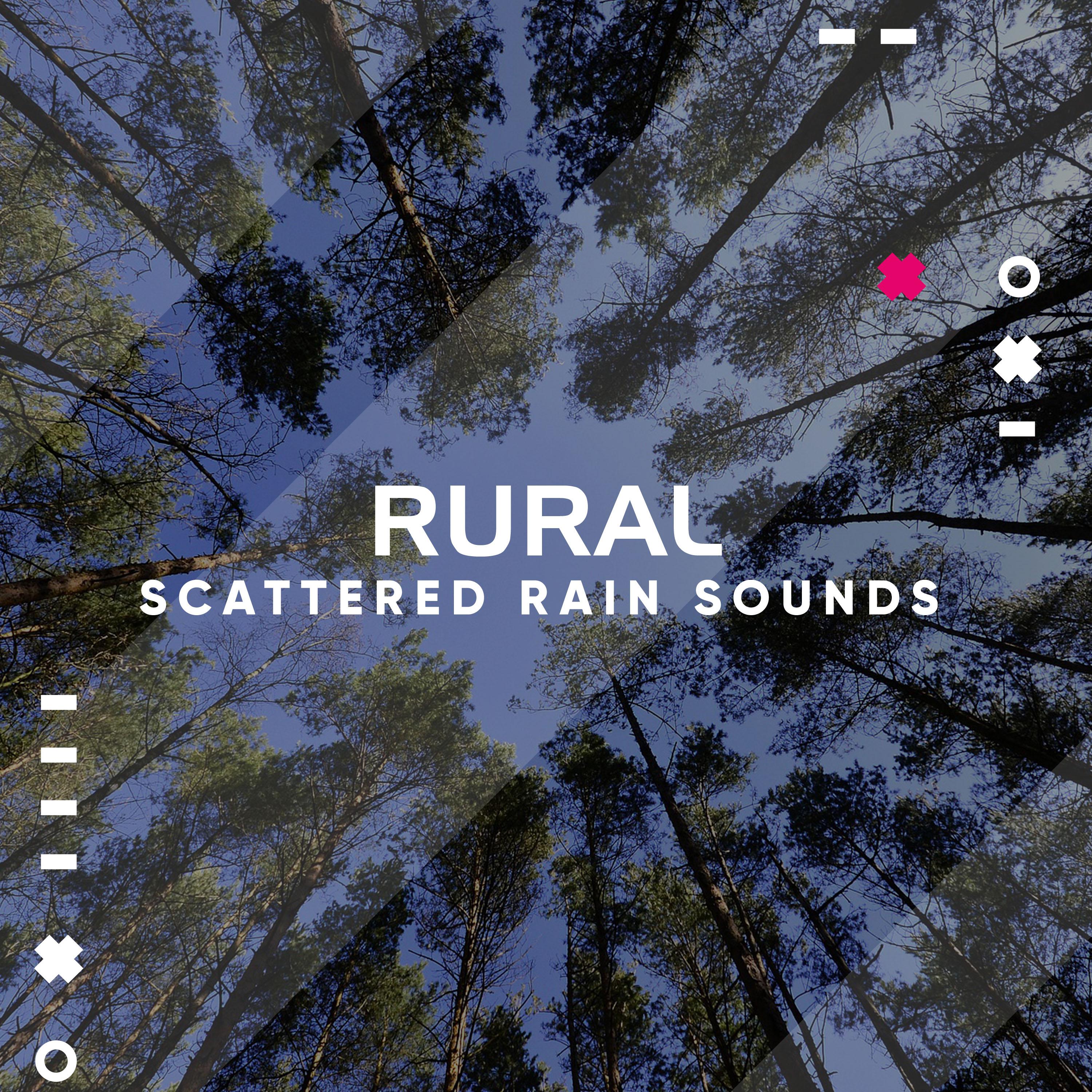 #14 Rural Scattered Rain Sounds专辑