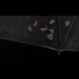 鱼雨（FoolRain）