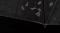 鱼雨（FoolRain）专辑