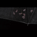 鱼雨（FoolRain）专辑
