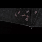鱼雨（FoolRain）专辑