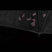 鱼雨（FoolRain）