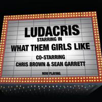 原版伴奏   What Them Girls Like - Ludacris Ft. Chris Brown. Sean Garrett ( Instrumental )