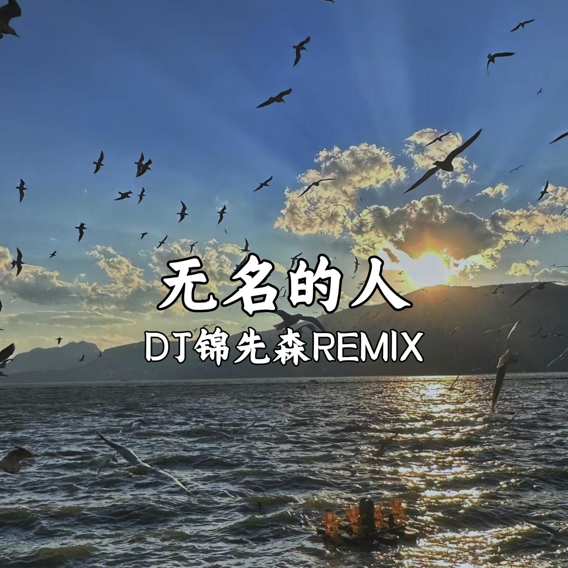 无名的人（DJ锦先森 Remix）