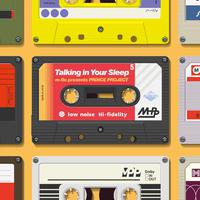 Talking in Your Sleep - Crystal Gayle (AM karaoke) 带和声伴奏