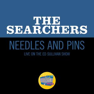 Needles And Pins (Karaoke Version) （原版立体声） （升1半音）