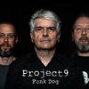 Project 9 - Funk Dog