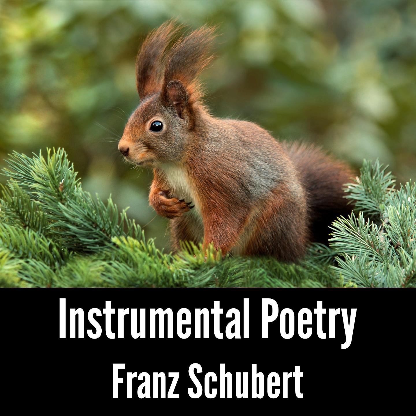 Instrumental Poetry: Franz Schubert专辑