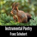 Instrumental Poetry: Franz Schubert