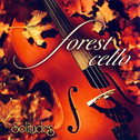 Forest Cello专辑
