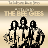 The Michael Kane Band - More Than a Woman