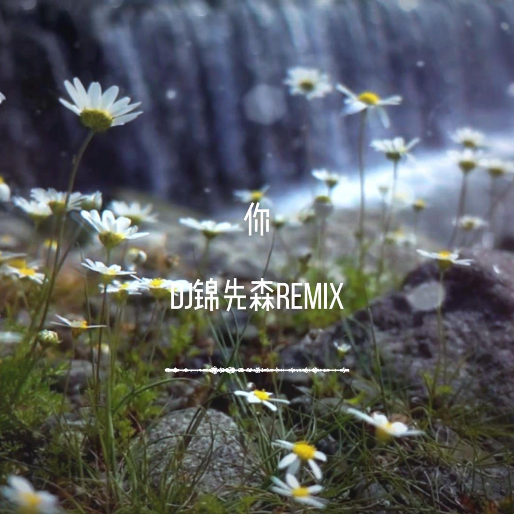 你（DJ锦先森 Remix）