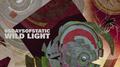 Wild Light专辑