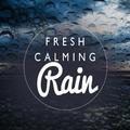 Fresh Calming Rain