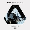 When I See You (Alesso Mix)专辑