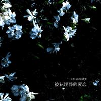 王忻辰、徐靖雯 - 被花埋葬的爱恋 (带伴唱) 伴奏