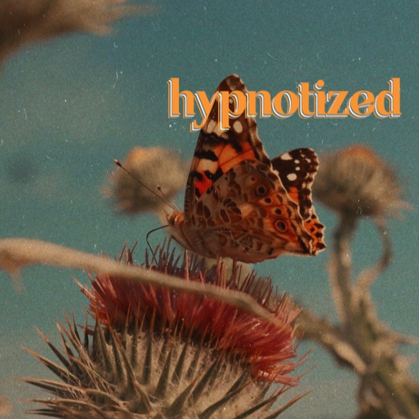 Hypnotized