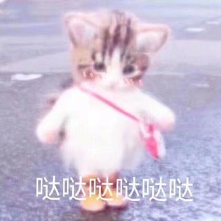 给我亲爱的小可爱们哒