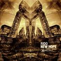 New Hope / Somber World专辑