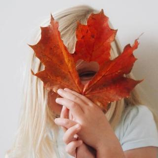 氛围流行 | 治愈秋日忧郁的极致浪漫