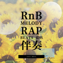 RnB MELODY RAP BEATS 说唱伴奏专辑