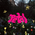 Petal花瓣）