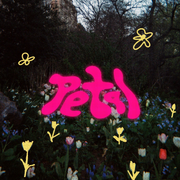 Petal花瓣）