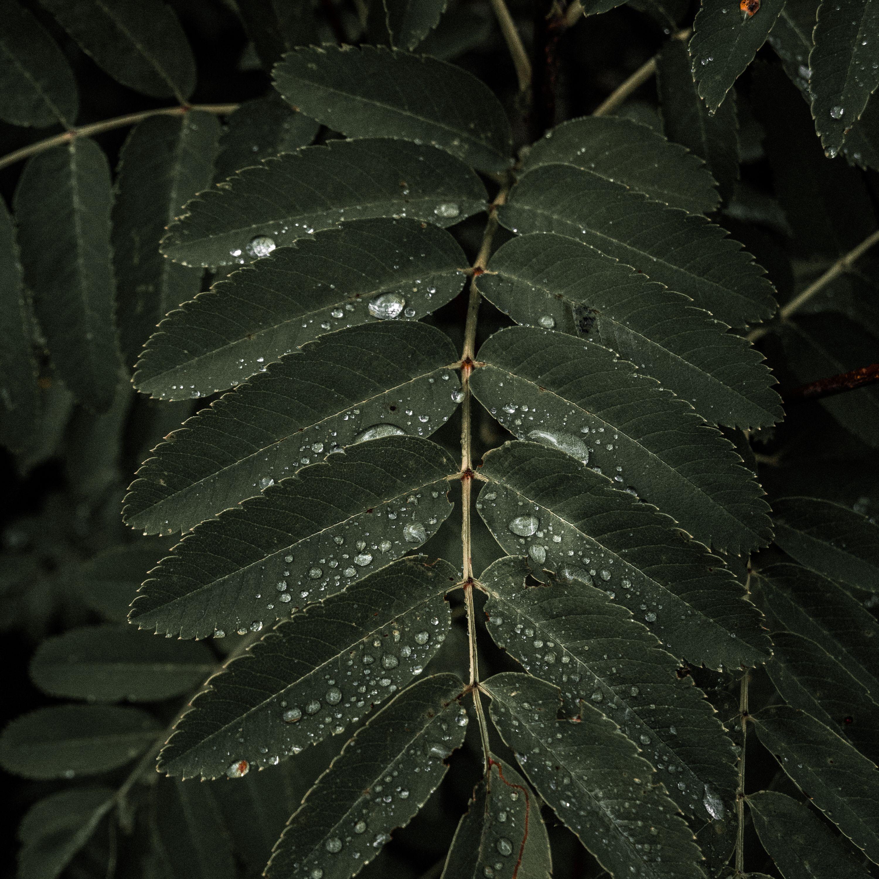 Soulful Summer | Unsaid Feelings