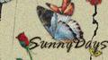 sunnydays专辑