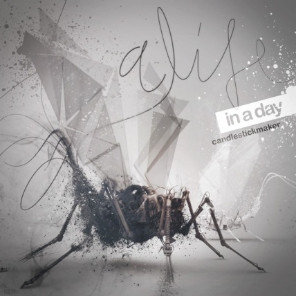 A Life in a Day