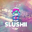 Thief (Slushii Remix) 专辑