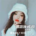 思念化成风专辑