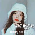 思念化成风专辑