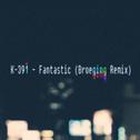 Fantastic (Broeging Remix)专辑