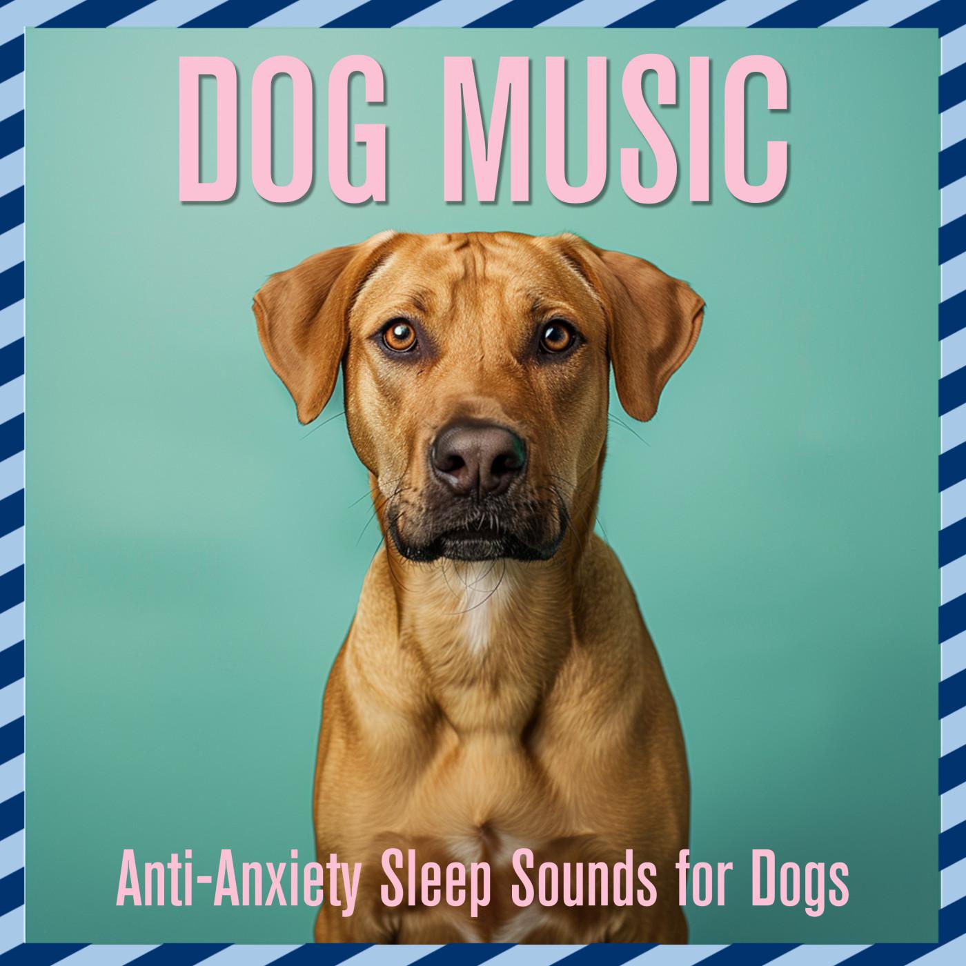 Dog Music Dreams - Night In