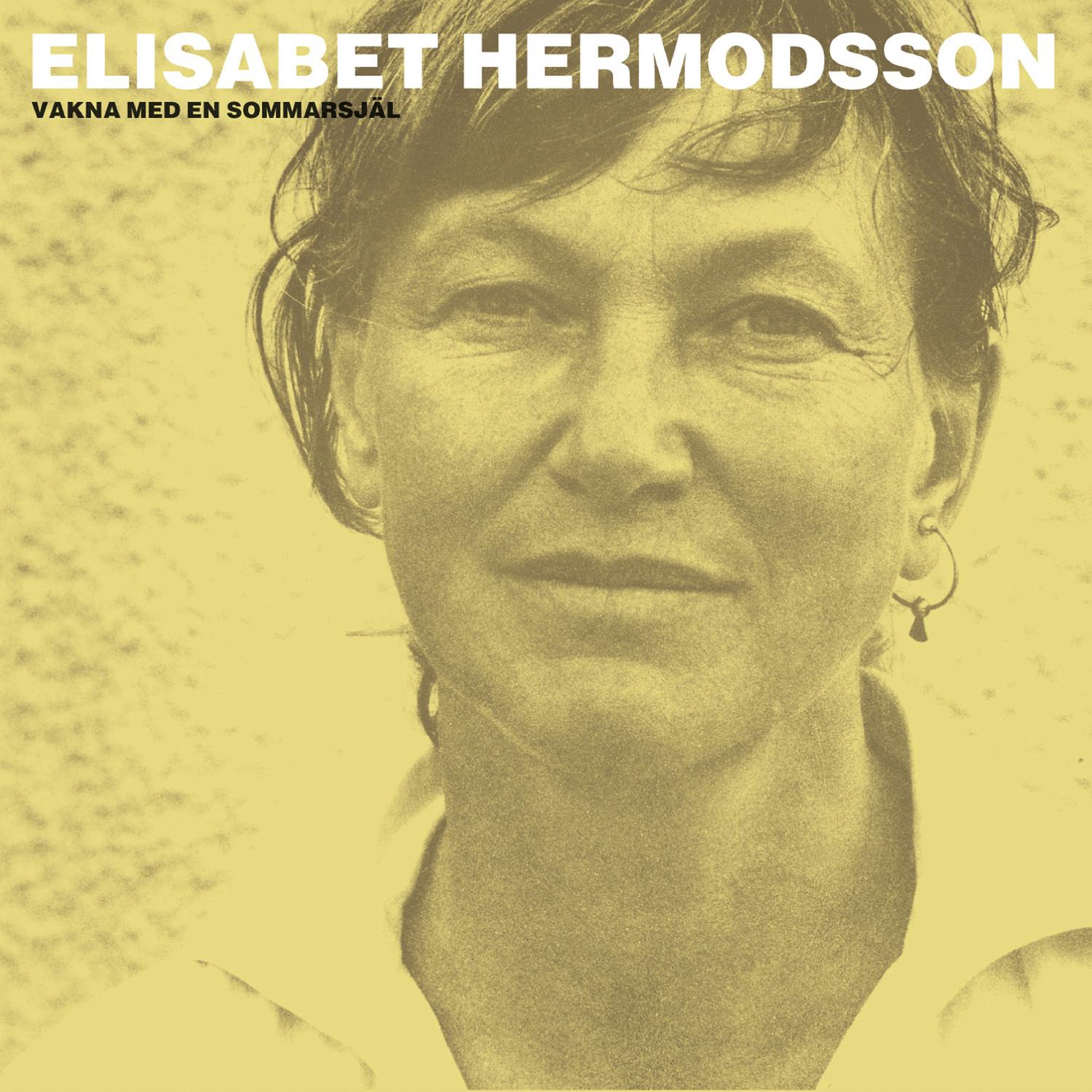Elisabet Hermodsson - Samtal på heden