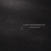 最后的温柔 LASTTENDERNESS（FEAT.YOONHEE）