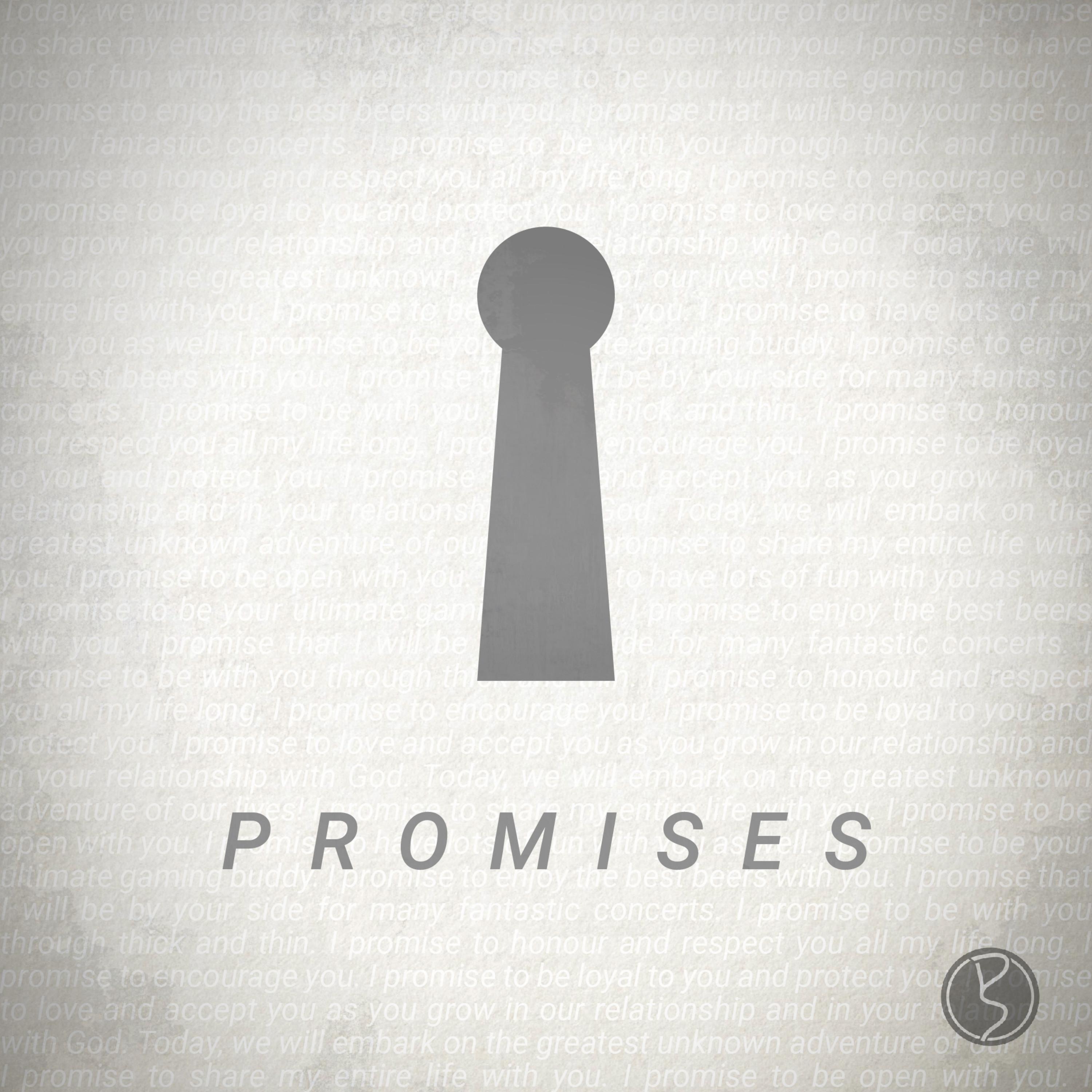 David Shaw - Promises