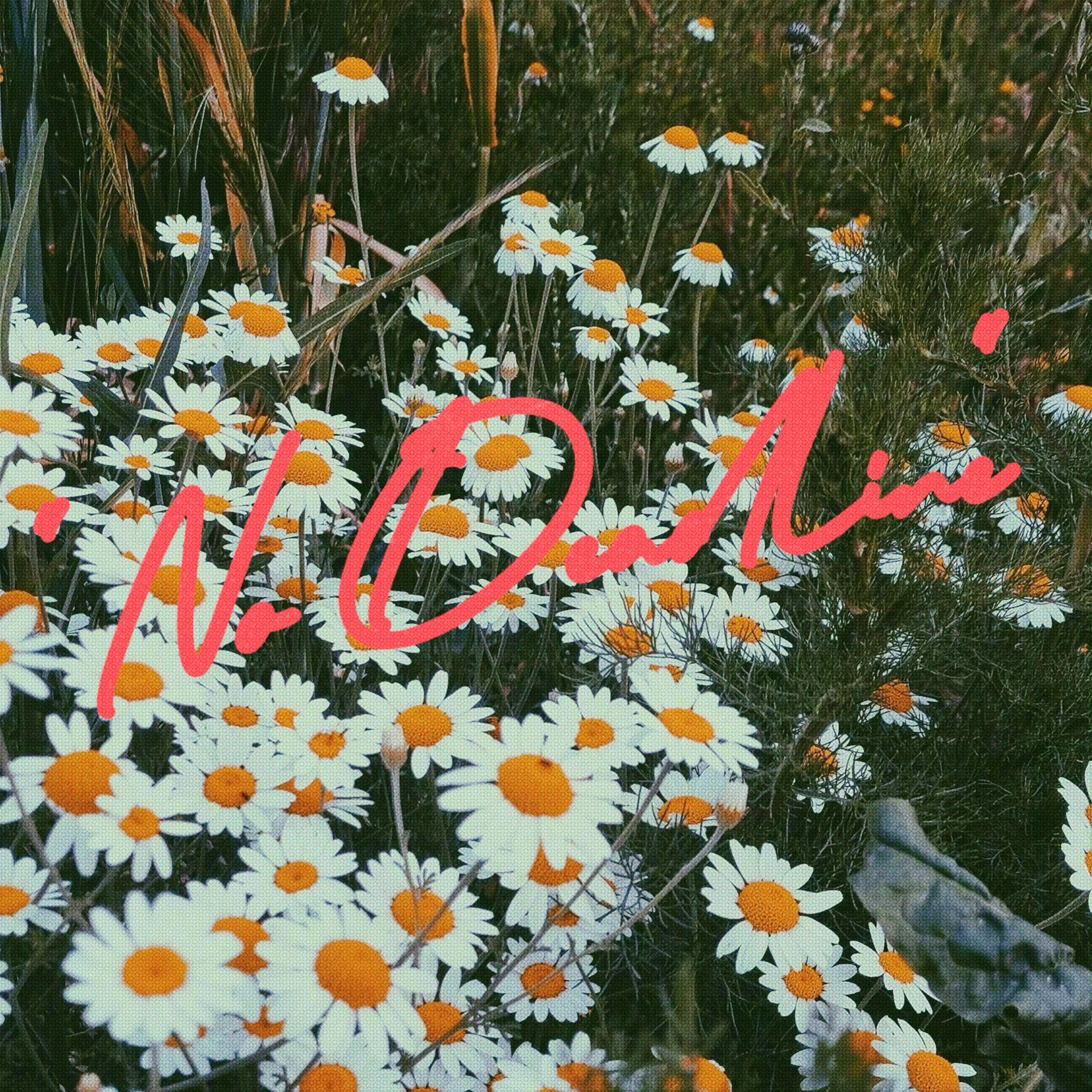 无期限（No Deadline）