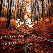 飘落