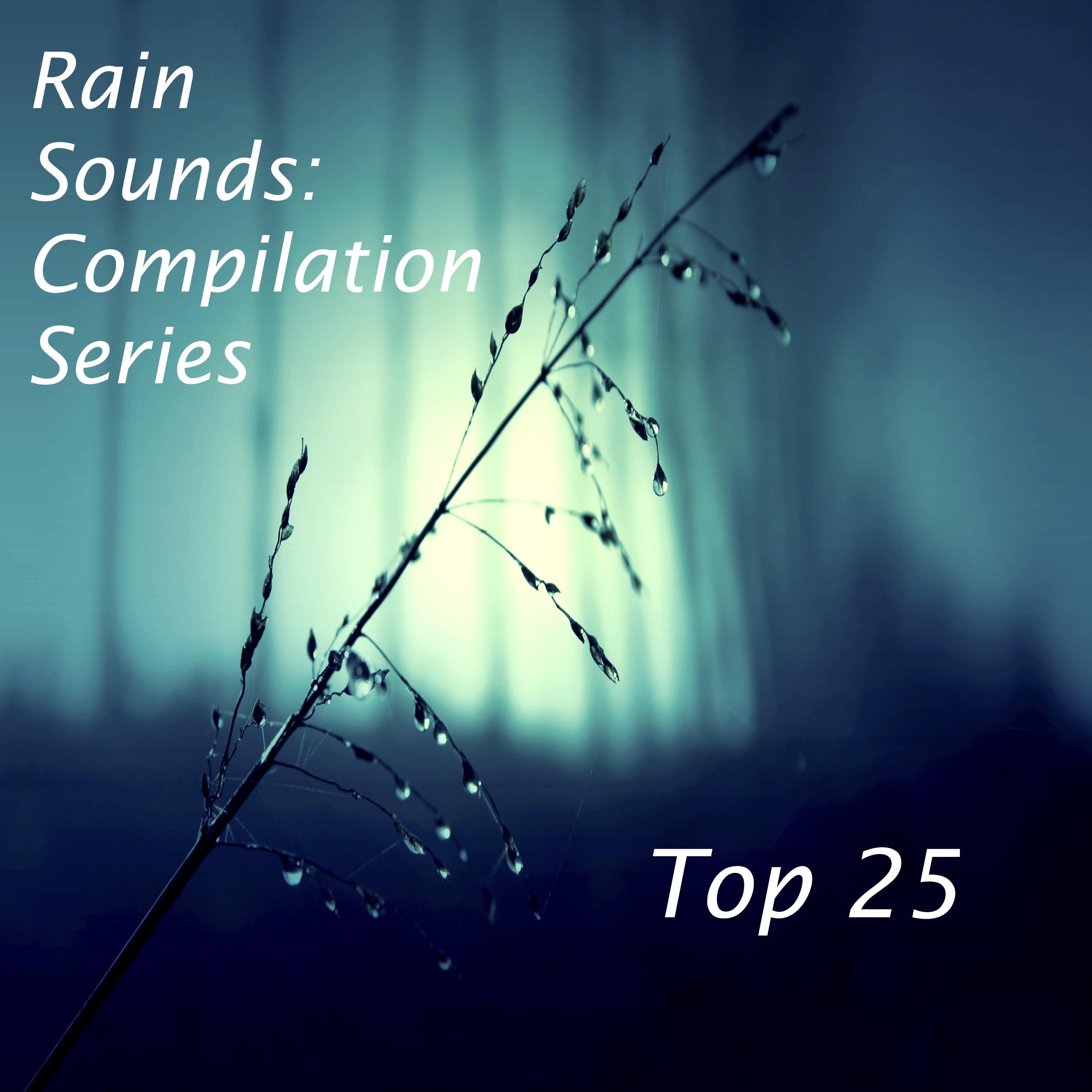 2017 Compilation: Top 25 Loopable Rain Sounds for Deep Sleep, Insomnia, Meditation and Relaxation专辑