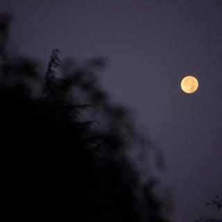 地球上所有夜晚