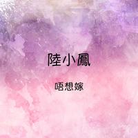 花开并蒂(兄长缺女声+心语和声)