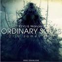 Ordinary Souls (Olly James Edit)