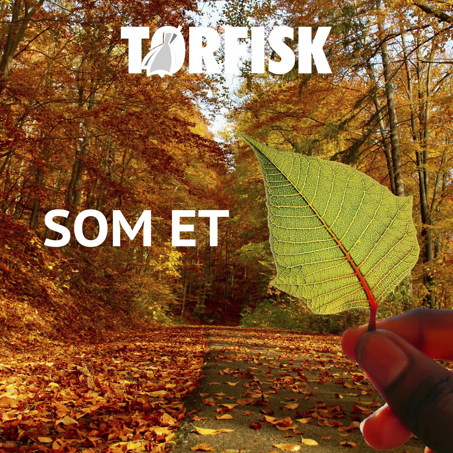 Som Et Blad