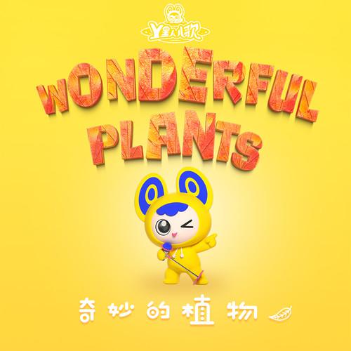 奇妙的植物NO.1