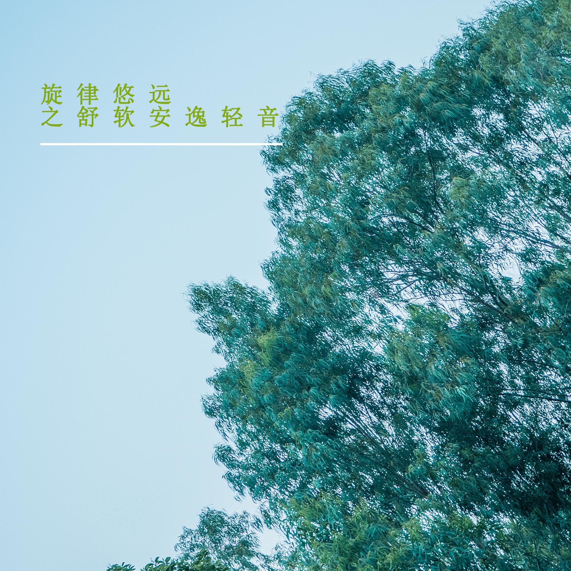旋律悠远之舒软安逸轻音