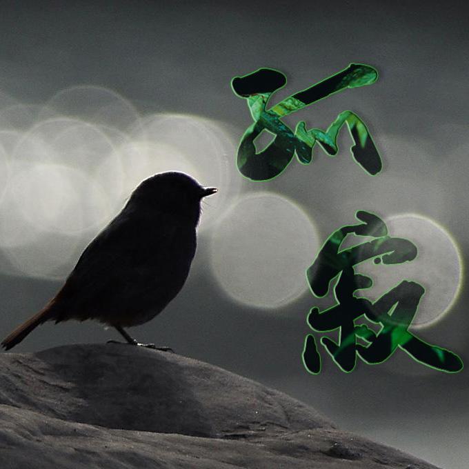 2021 春风秋雨 DJ 车载DJ